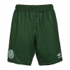 25/26 ADULT GREEN GK SHORTS