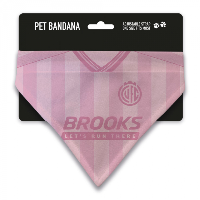 26/27 Third Pet Bandana
