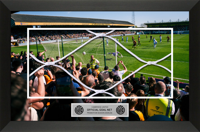 FRAMED & MOUNTED 25/26 GOAL NET