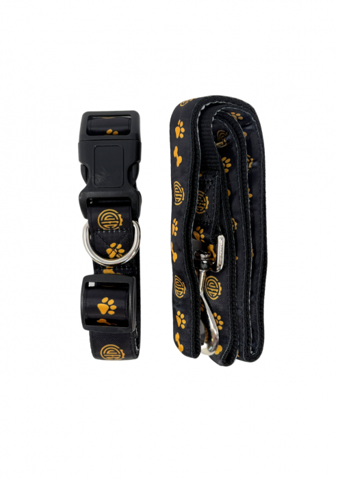 Dog Collar & Lead