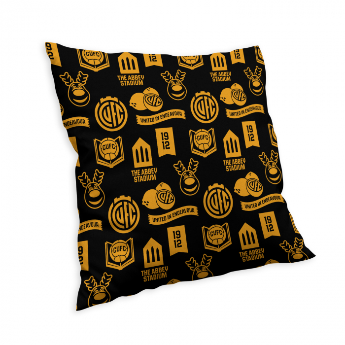Icon Cushion