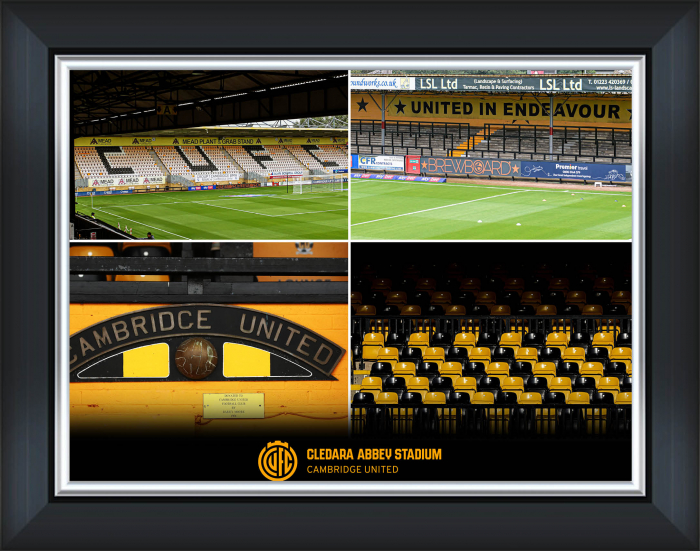 Stadium Montage Framed Print - 16 x 12 Inch