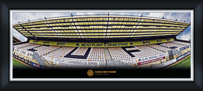 Panoramic Stadium Framed Print - 30 Inch