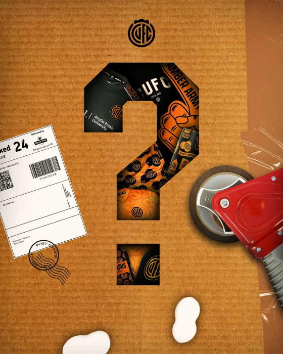 ADULT MYSTERY PACKAGE
